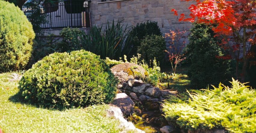 Árnyéktűrő kerti növények: szépség kertépítés sötét helyekre